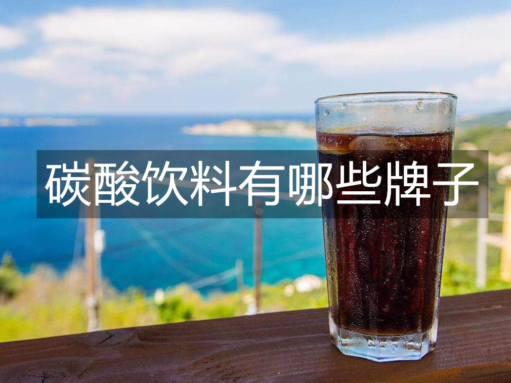 碳酸饮料有哪些牌子_碳酸饮料品牌排行榜